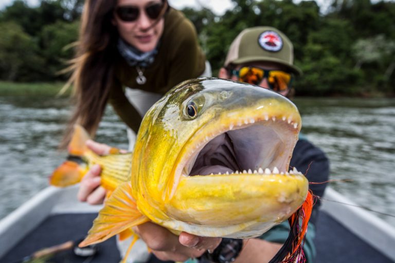 Rio Parana Lodge Argentina