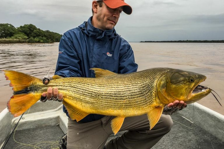 Rio Parana Lodge Argentina