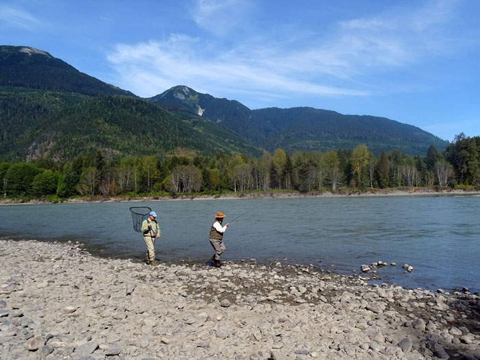 Kalum River Lodge Fishing Report 21st - 28th Aug