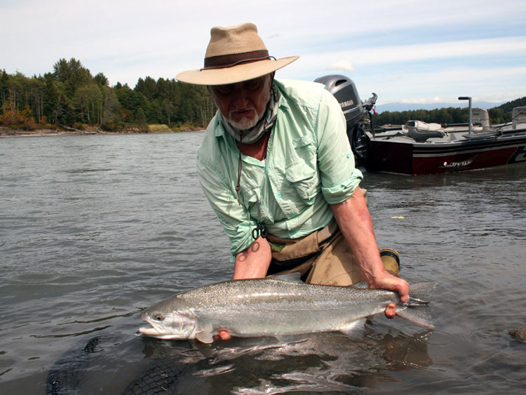 Kalum River Lodge Fishing Report 7 - 14th Aug