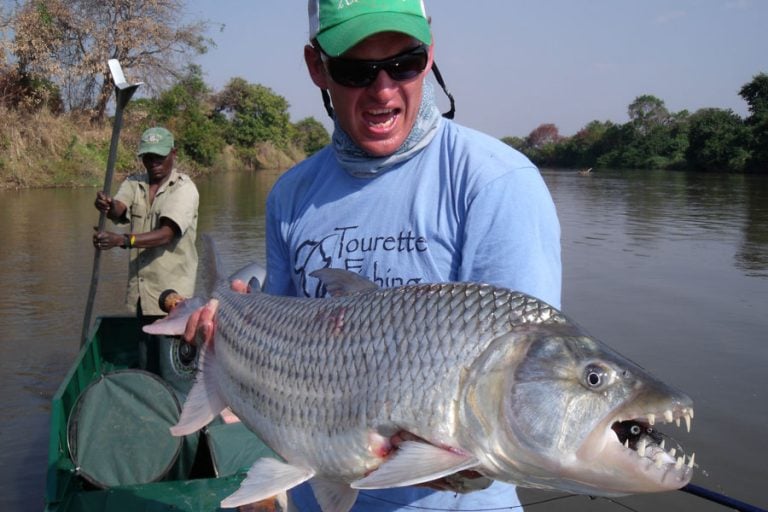 Tigerfish Fly Fishingat Dhala camp