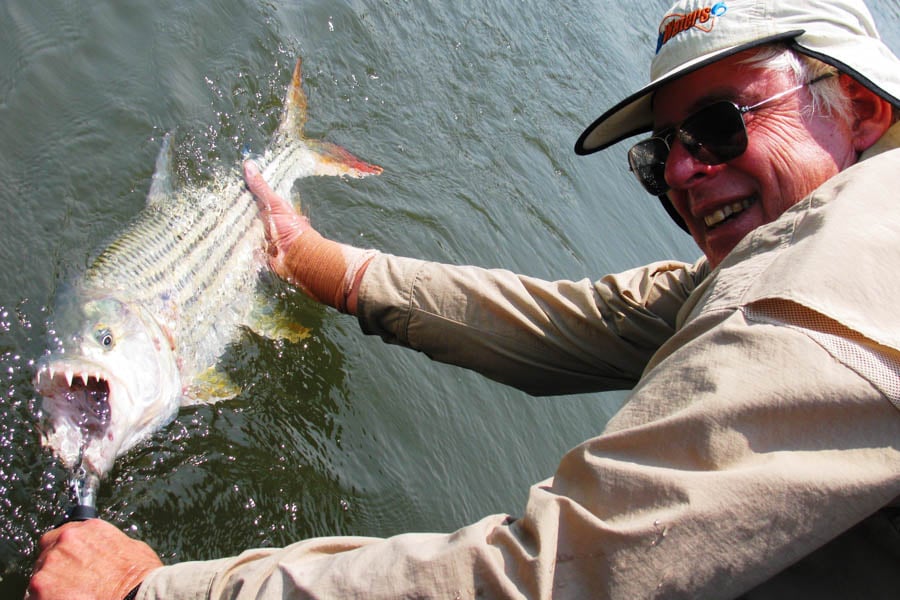 angler holding Tigerfish in the river water