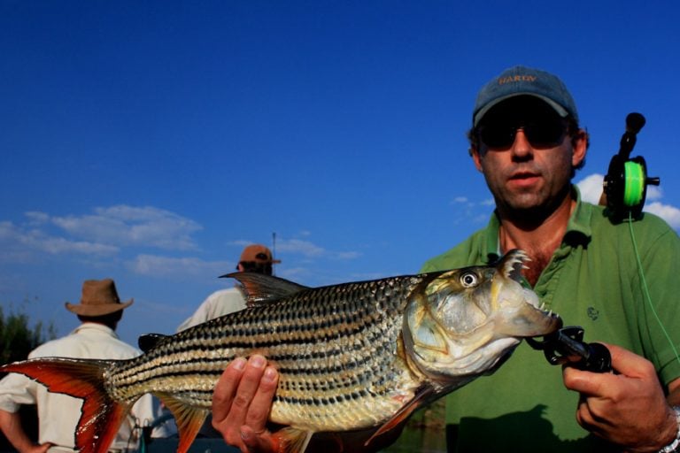 Fly Fishing for Monster Tigerfish