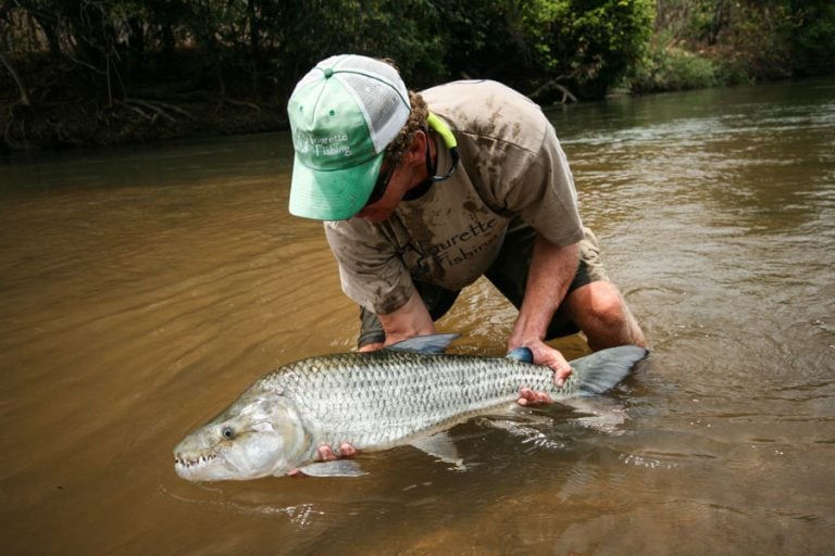 Tigerfish Fly Fishing