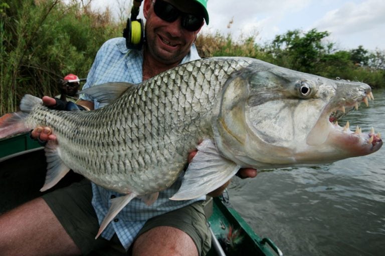 smiling fisherman with Tigerfish