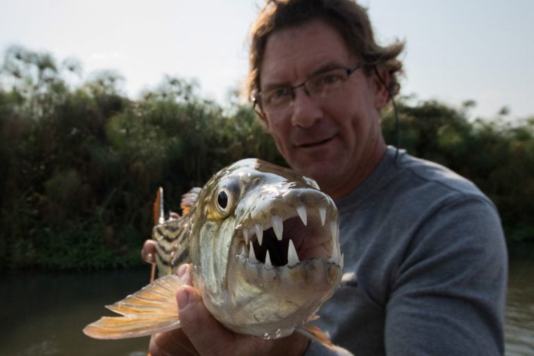 Fly Fishing for Monster Tigerfish