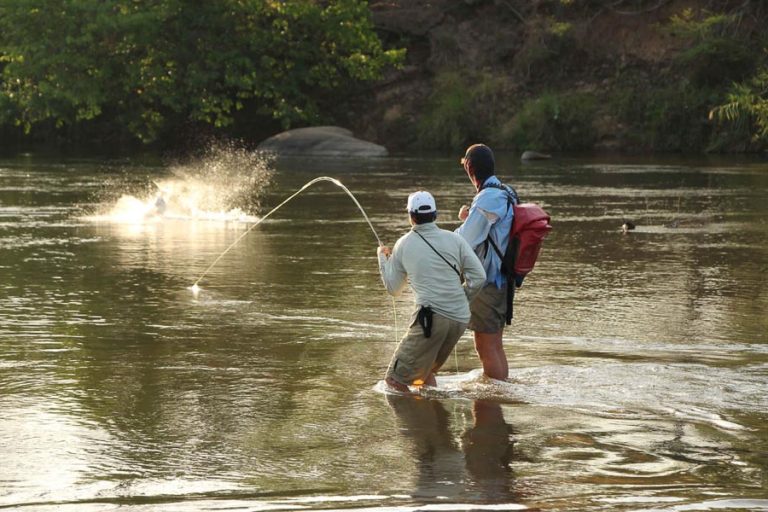 Fly Fishing for Monster Tigerfish