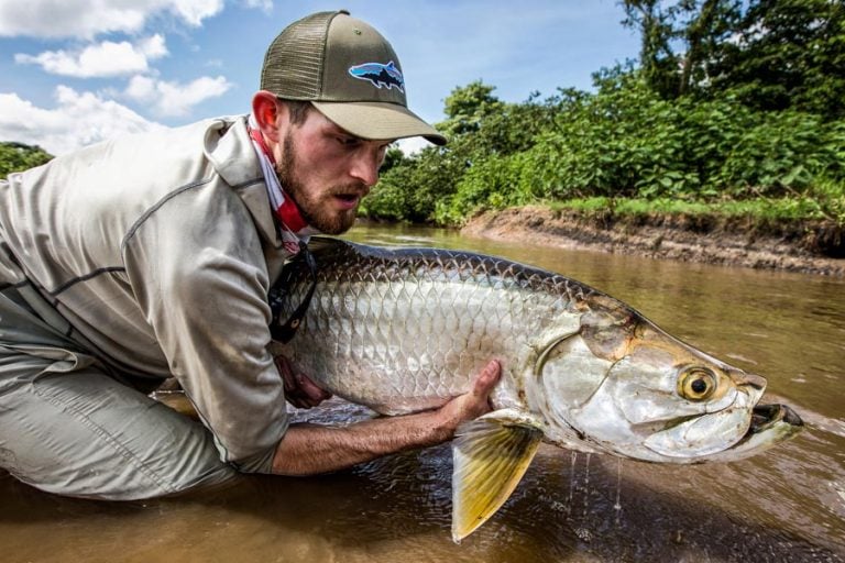 Tarpon Lodge Costa Rica