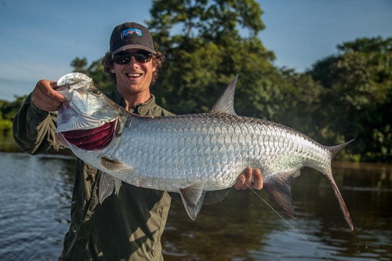 Tarpon Lodge Costa Rica