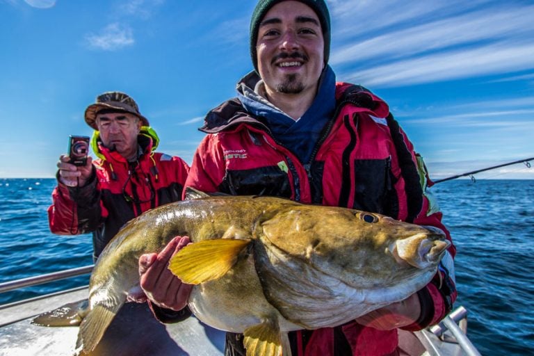 Halibut & Coalfish Fishing Norway