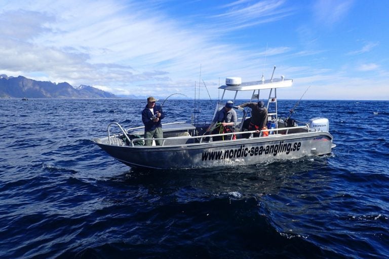 Halibut & Coalfish Fishing Norway