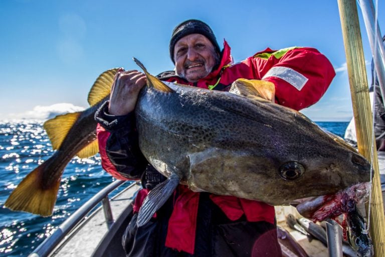 Halibut & Coalfish Fishing Norway