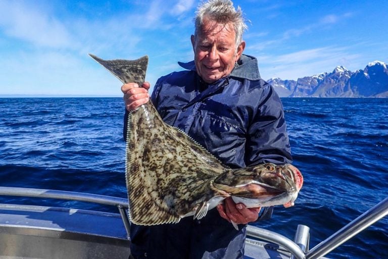 Halibut & Coalfish Fishing Norway