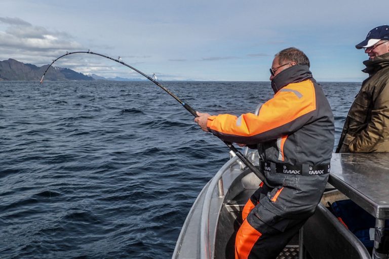 Halibut & Coalfish Fishing Norway