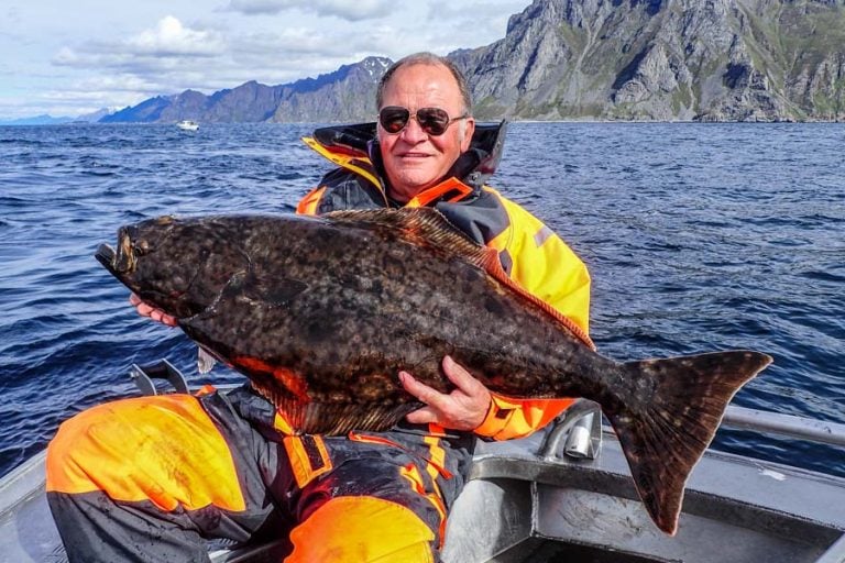 Halibut & Coalfish Fishing Norway