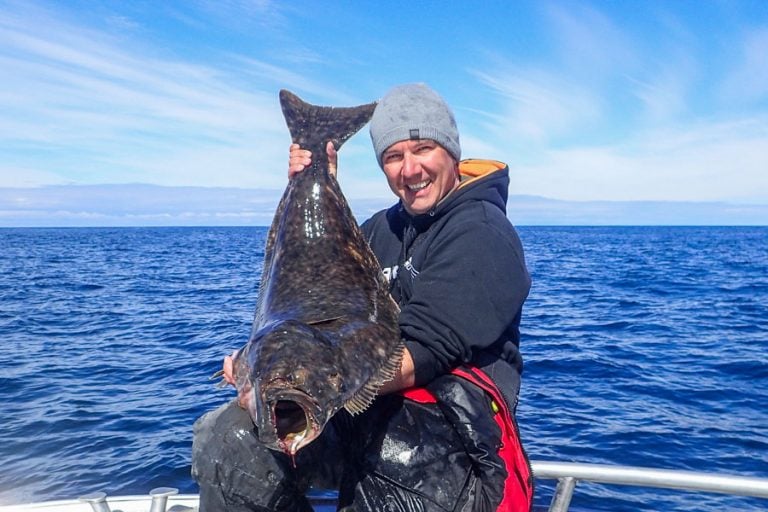 Halibut & Coalfish Fishing Norway