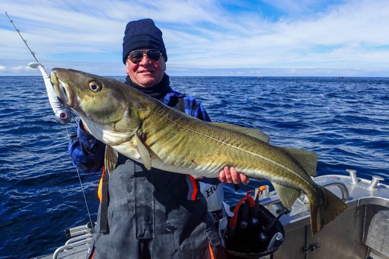 Halibut & Coalfish Fishing Norway