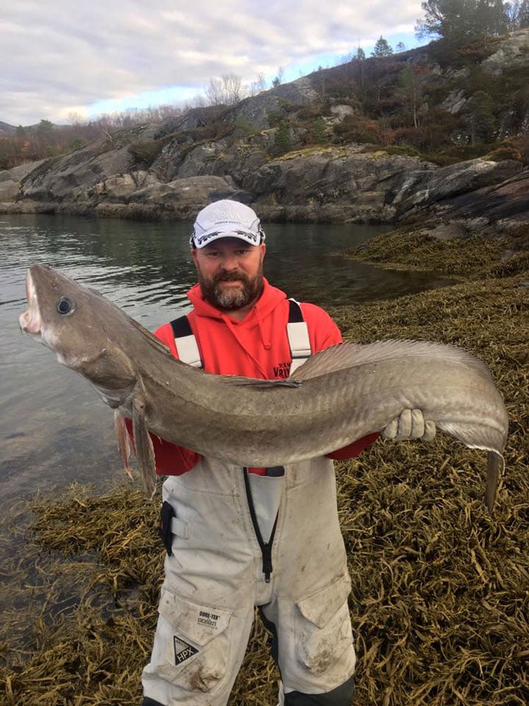 North Norway Autumn Shore Fishing Report | Sportquest Holidays