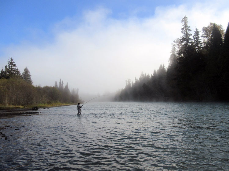 kalum-river-lodge-fishing-report-17th-25th-sept