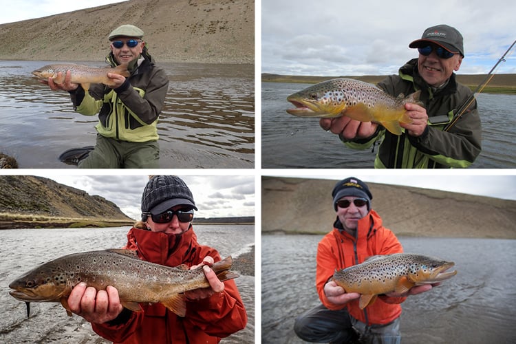 Sea Trout caught on dry flies