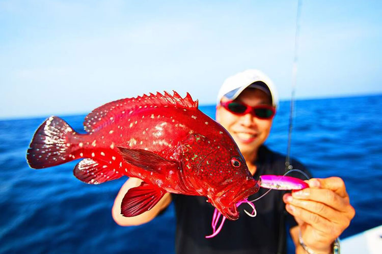 Latest News From GT Fishing In Sri Lanka