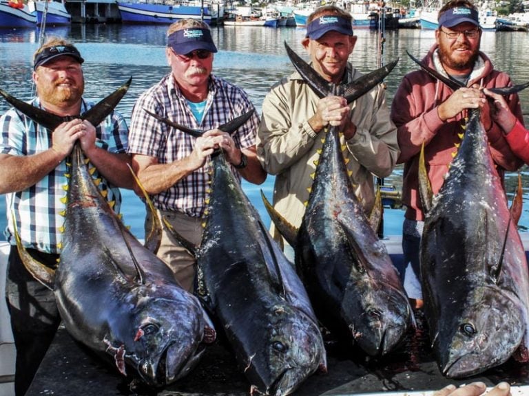 Cape Town yellowfin Tuna