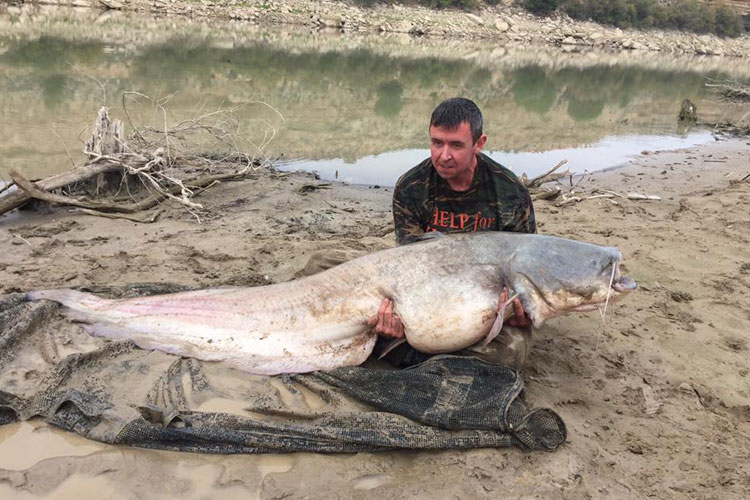 Catfish Anglers Must Read This Report