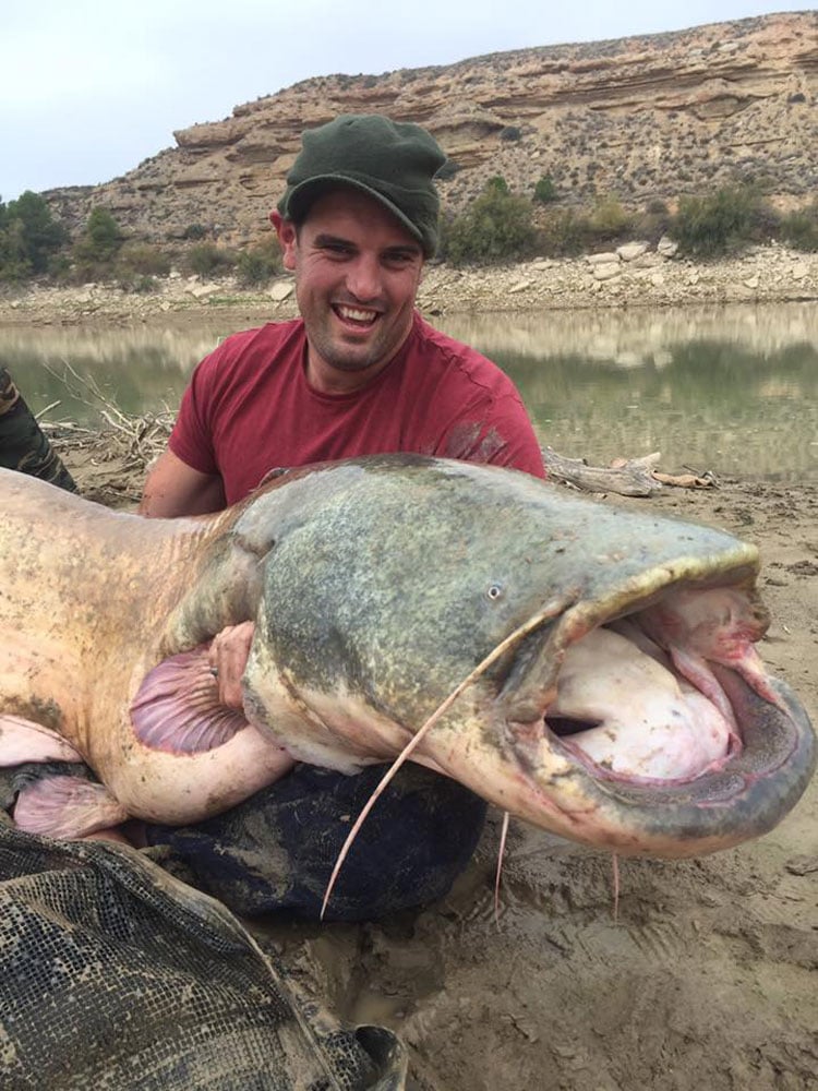 Catfish Anglers Must Read This Report