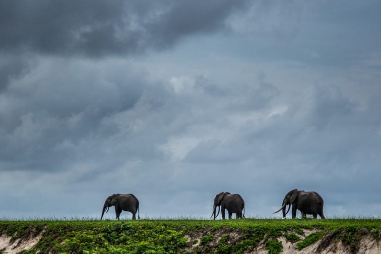 Gabon Africa