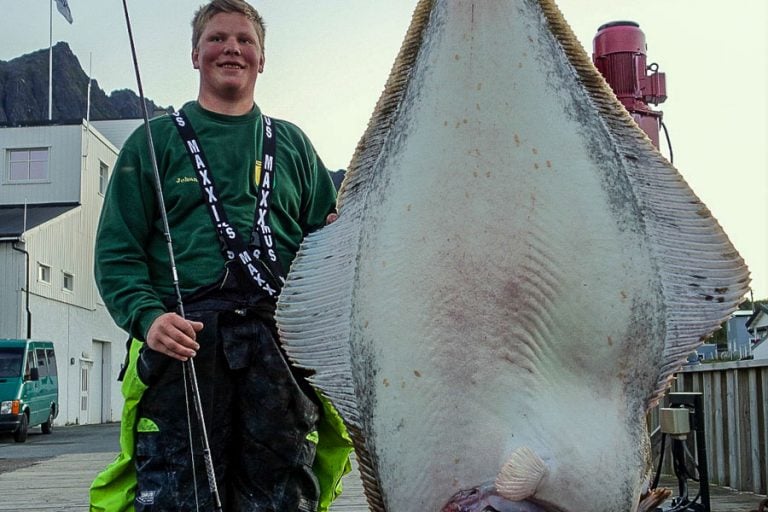 Cod & Halibut Fishing Norway