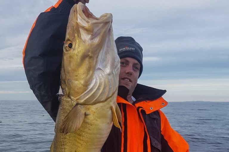 Fishing Mefjord North Norway