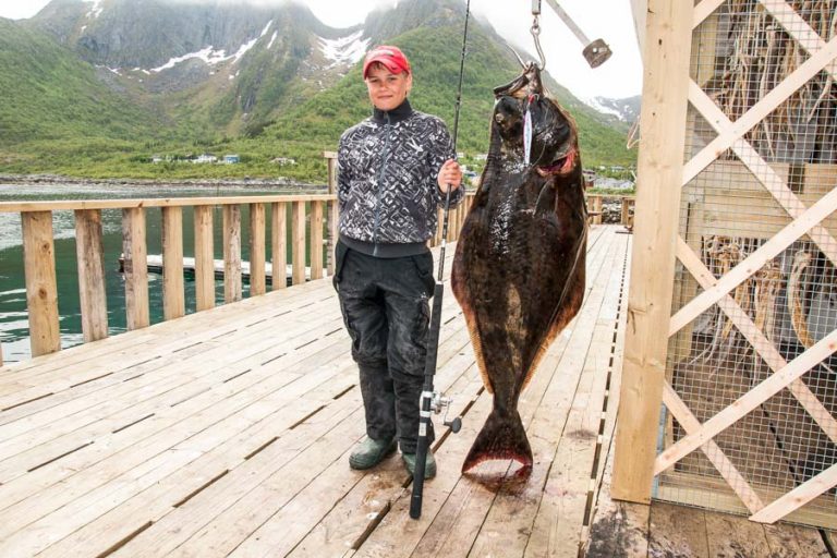 Cod & Halibut Fishing Norway