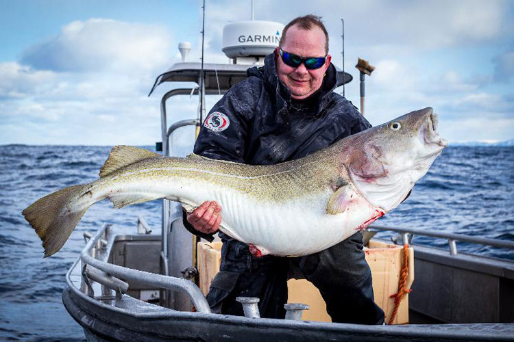 Norway Skrei Cod Fishing Three Different Destinations