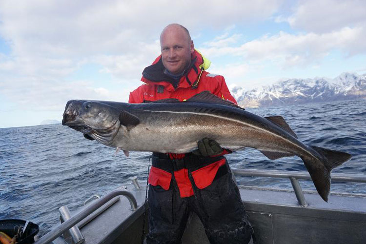 First Full Sea Fishing Roundup Norway Report 2017