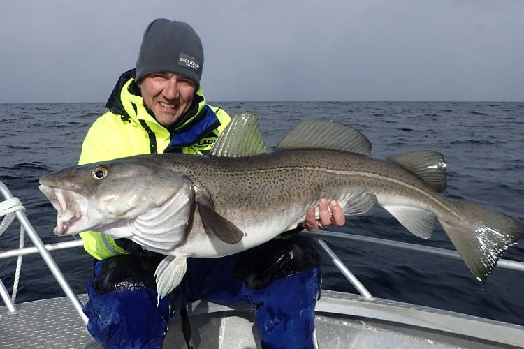 Hosted Mefjord Norway Sea Fishing Review