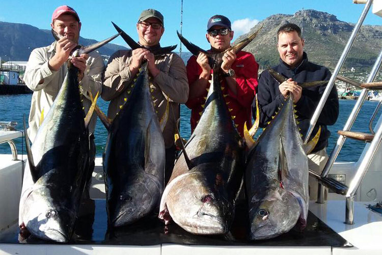 Yellowfin Tuna Fishing Cape Town South Africa