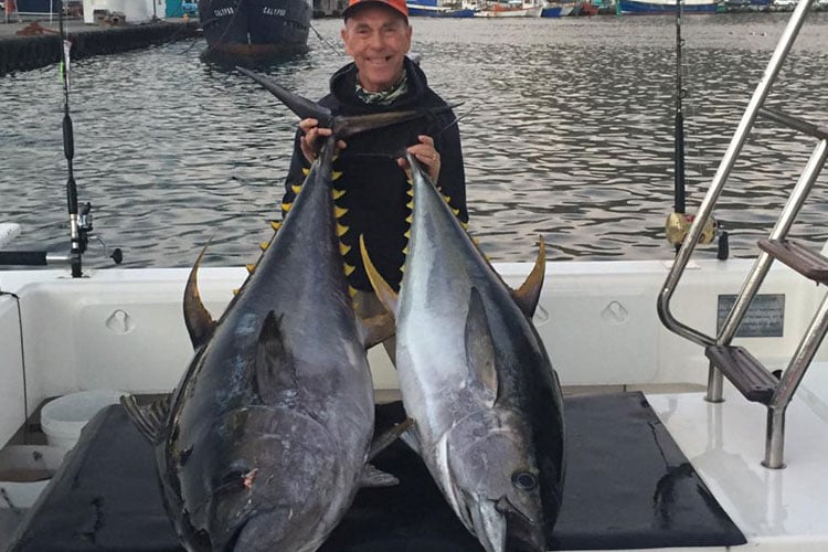 Yellowfin Tuna Fishing Cape Town South Africa