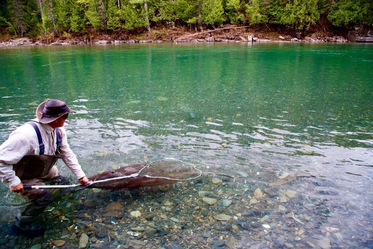 Camp Bonaventure Fishing & River Report - June 1 to 4