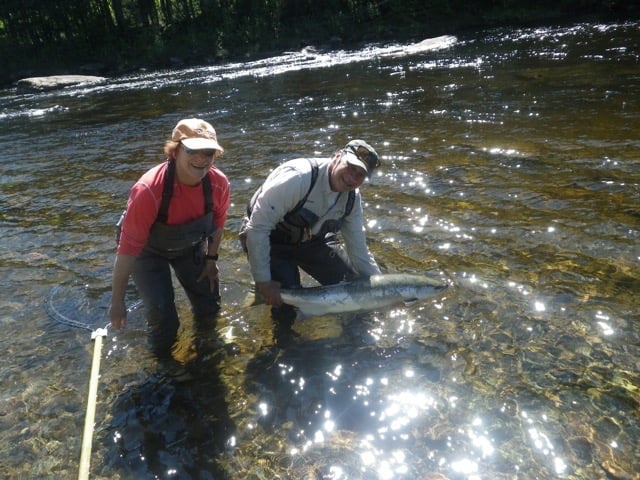 Salmon Lodge Fishing & River Report Middle June