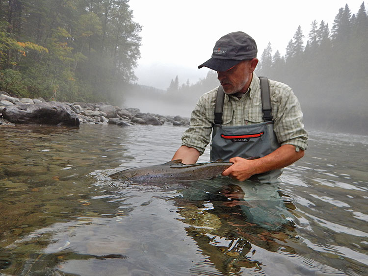 Atlantic Salmon Fishing Quebec