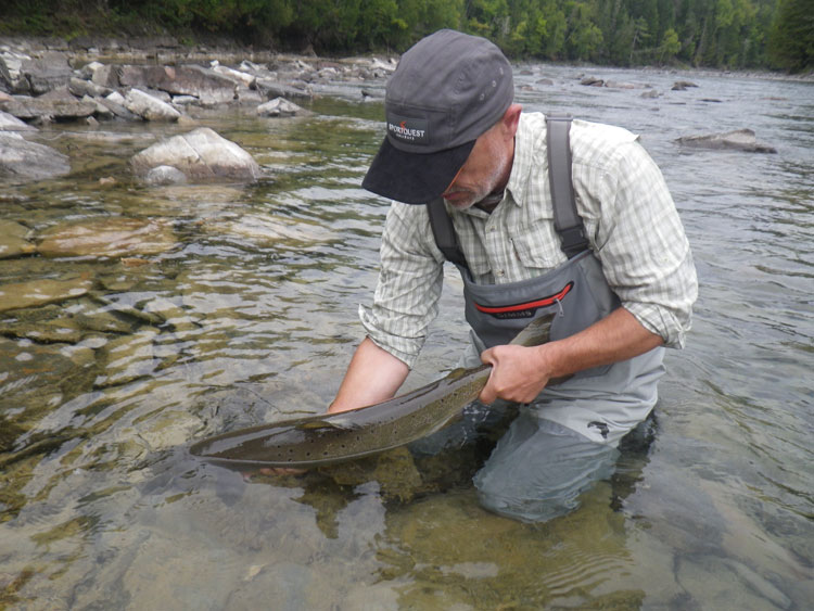 Atlantic Salmon Fishing Quebec