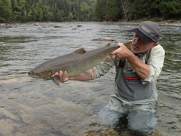 Atlantic Salmon Fishing Quebec