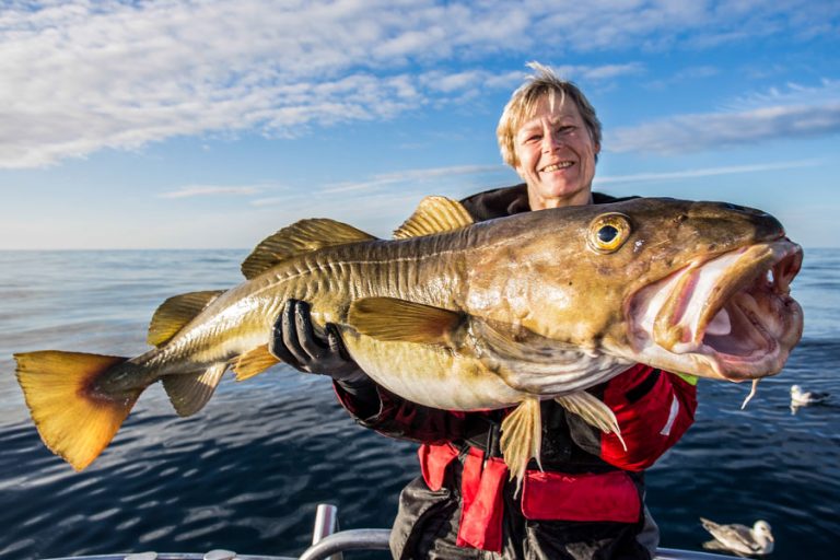 Sea Fishing Vesterålen