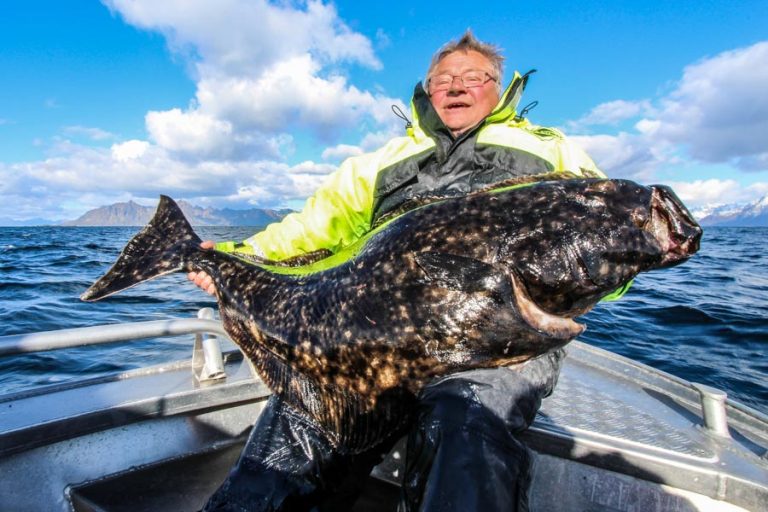 Sea Fishing Vesterålen