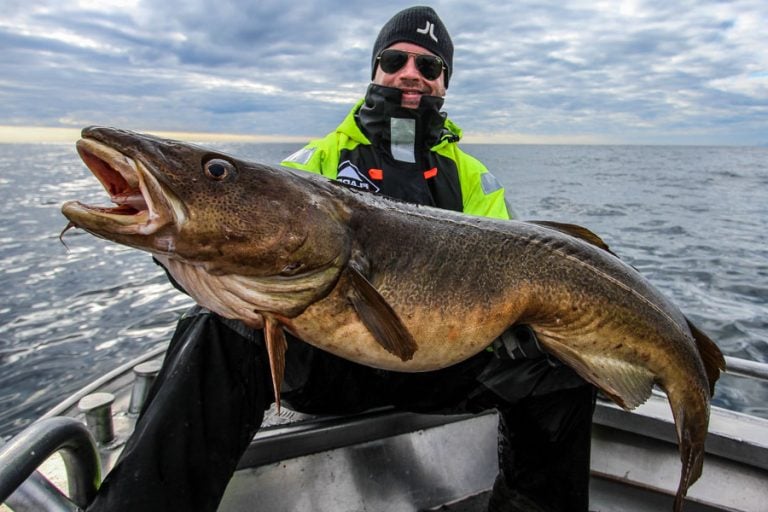 Hosted Sea Fishing North Norway