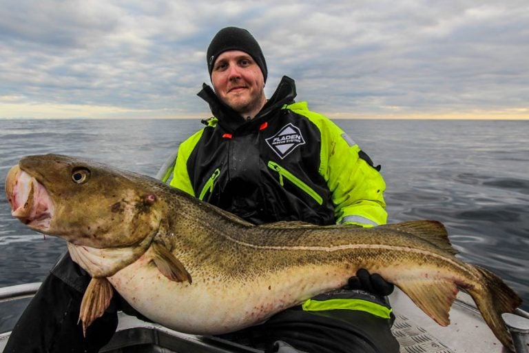 Sea Fishing Vesterålen