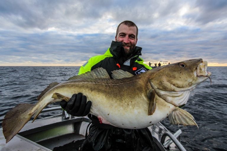 Hosted Sea Fishing North Norway