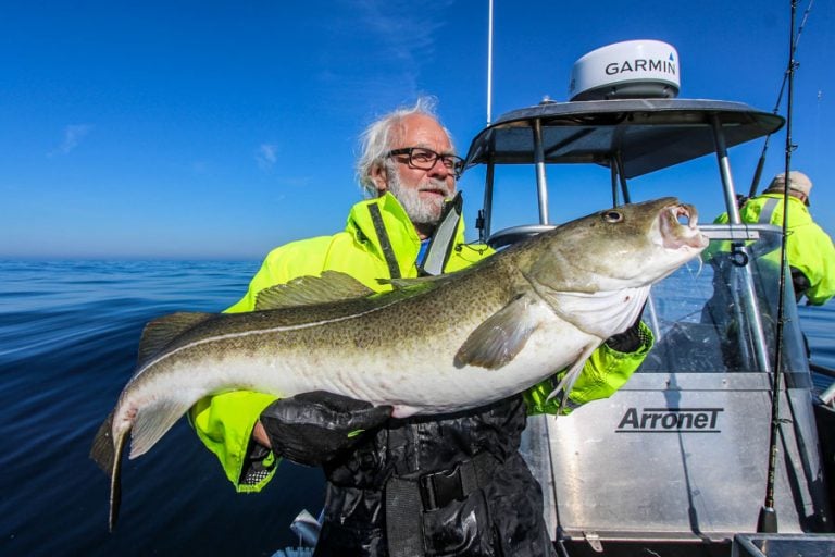 Hosted Sea Fishing North Norway