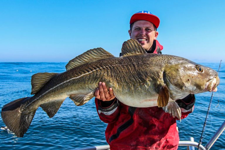 Hosted Sea Fishing North Norway