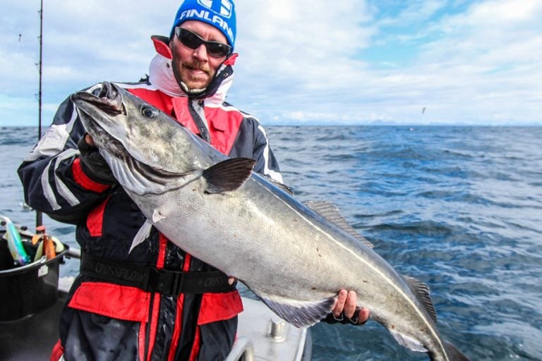 Hosted Sea Fishing North Norway